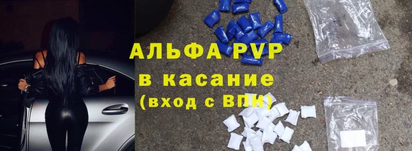 гидра Белокуриха